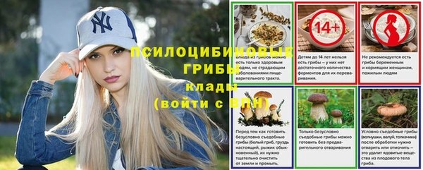 2c-b Лабытнанги