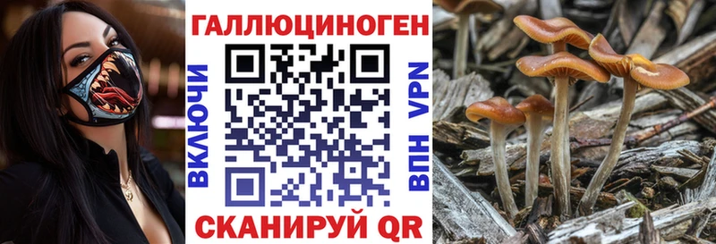 Галлюциногенные грибы Magic Shrooms  Темников 
